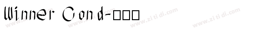Winner Cond字体转换